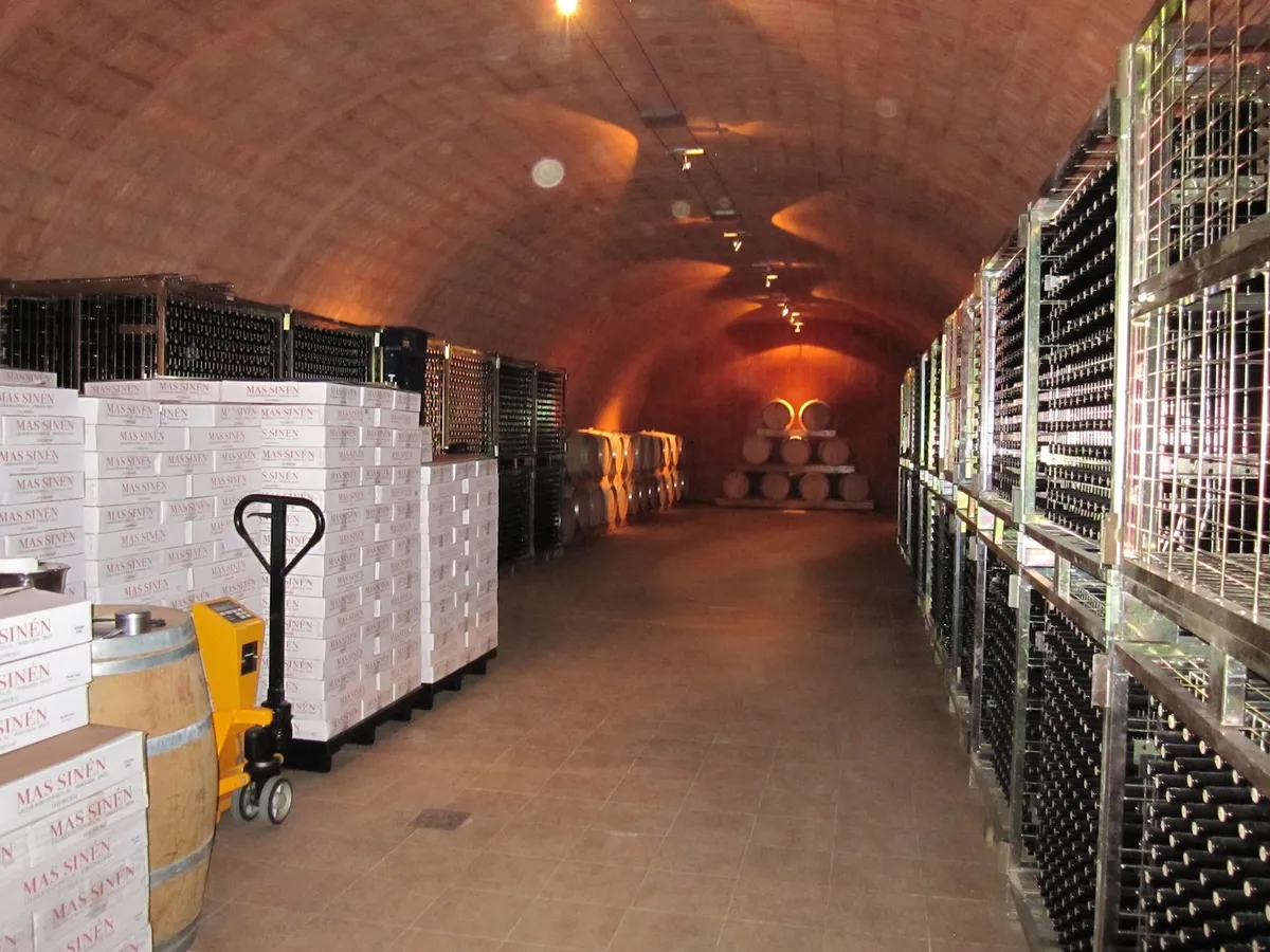 The winery surroundings